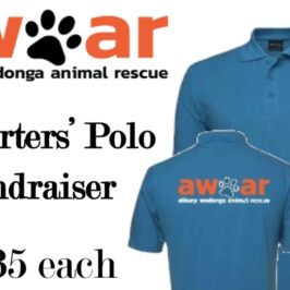 awar polo shirt fundraiser